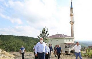 Camilerin iç temizliği ve bahçe düzenlemesi Canik...