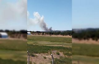 Çanakkale Ayvacık’ta orman yangını