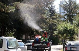 Çankaya’da ilaçlama çalışmaları sürüyor