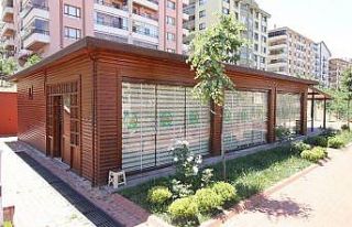 Çankaya’nın tohumları üretiliyor