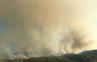 Çeşme’deki yangına havadan müdahale başladı