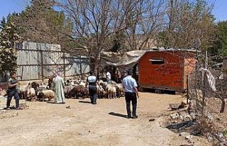 Çevreyi kirleten besiciler şehir dışına çıkarıldı