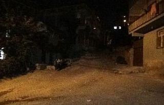 Cezaevinden kaçtı, eşini sokak ortasında katletti