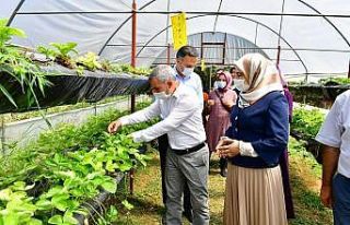 Çınar, kadın girişimcileri sera alanında ağırladı