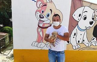 Çorlu Belediyesi sokak hayvanlarına sahip çıkıyor