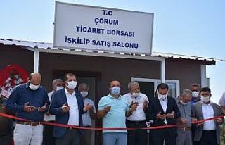 Çorum ticaret borsası İskilip’te satış salonu...