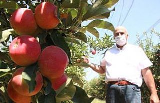 Covid-19’dan dolayı Karaman’da üretilen 400...