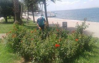 Değirmendere sahilindeki parklar sürekli bakımdan...