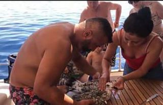 Denizde oltaya takılıp can çekişen martı kaptan...