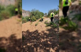 Dicle ilçesinde kaybolan Miraç’ı arama çalışmaları...