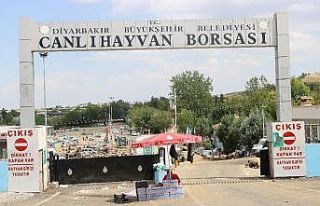 Diyarbakır’da kurbanlık fiyatları bayramın 3’üncü...