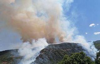 Doğu Anadolu Bölgesi’nde 246 hektar alan yandı
