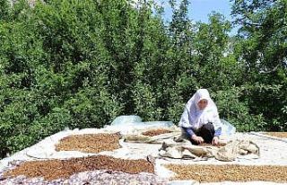 Doğu’da sıcaklıklar mevsim normallerinde seyredecek