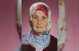 Dolaşmaya çıkan yaşlı kadın kayboldu