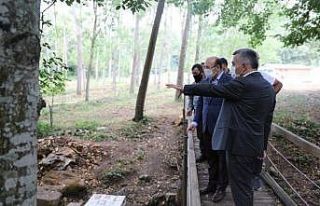 Dupnisa Mağarasına elektrik geliyor