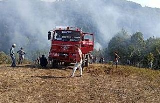 Düzce’de 2.5 hektarlık alan küle döndü