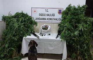 Düzce’de uyuşturucu maddelerle yakalanan şahıs...