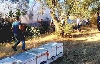 Edremit’te yangını söndürmek için mahalle sakinleri...