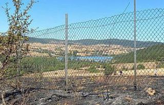 Eflani’de çıkan yangın ormana sıçramadan söndürüldü