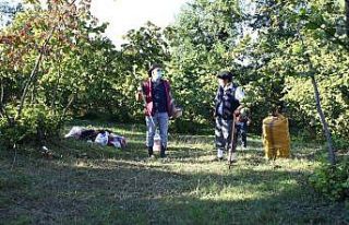 Eğlenceli fındık hasadı