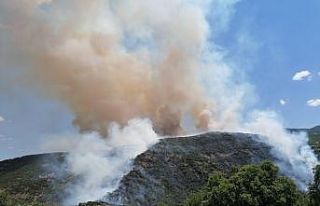 Elazığ’daki orman yangını kontrol altına alınmaya...
