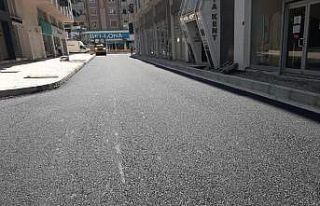 Ercişli Emrah Sokak yenilendi