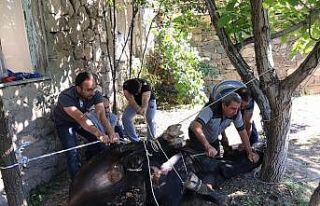 Erzincan’da 27 bin 200 kurban kesildi