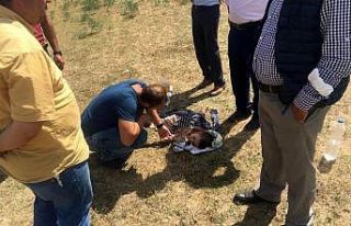 Erzincan’da trafik kazası: 1 ölü, 4 yaralı