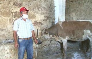 Erzurum’da işsiz kalan eski hükümlüye devlet...
