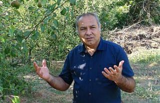 ESOGÜ’de meyve hasadı dönemi sona erdi