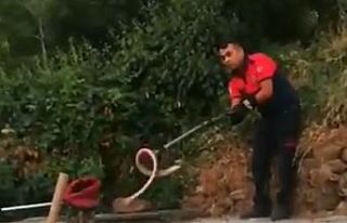 Evin bahçesindeki yılan panik yaşattı