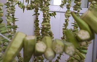 Evlerde kışlık bamya hazırlığı