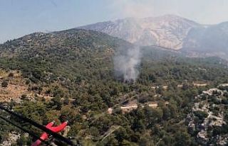 Fethiye’de orman yangını