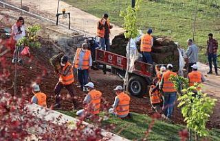 GAP Vadisi etap çalışmaları sürüyor