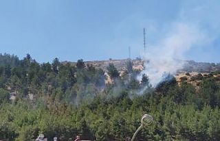 Gaziantep’te orman yangını