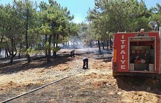 Gaziantep’teki orman yangını söndürüldü