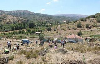 Genç Medyacılar Derneği basın hatıra ormanı...