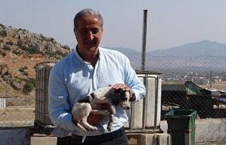 Genç Yüksel’den Hayvan barınağı’na ziyaret