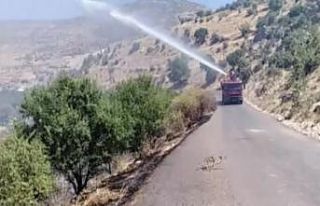 Gercüş’te 10 dönümlük bahçede yangın