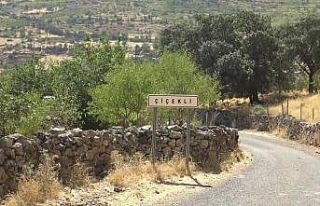 Gercüş’te 11 ev karantinaya alındı