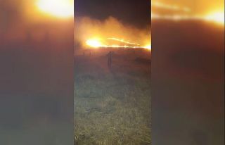 Gerger’de korkutan orman yangını