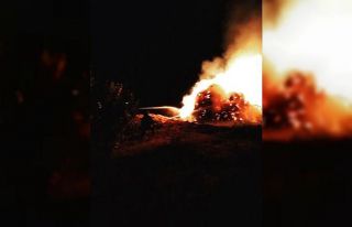 Gevaş’ta 2 bin 700 bağ ot yandı