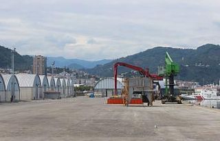 Giresun’dan ihracat bir önceki yıla göre yüzde...