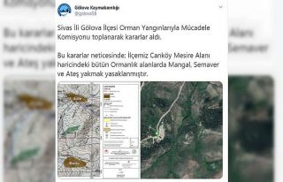 Gölova ilçesinde ormanlık alanlarda da mangal,...