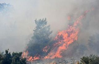 Güllübahçe Antik Kenti’nde yangın