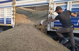 Gümrükte bin 810 paket kaçak sigara ele geçirildi