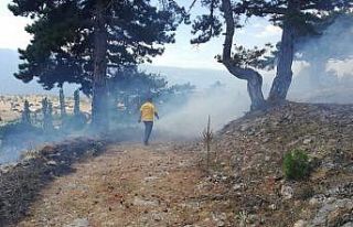 Günyazı Köyü’nde orman yangını
