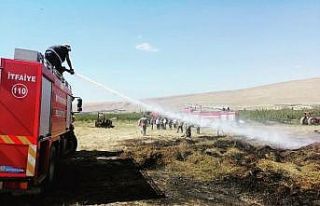 Gürpınar’da 5 bin bağ ot yandı