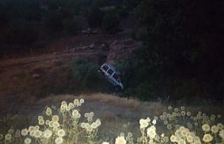 Hafif ticari araç şarampole uçtu: 1 yaralı
