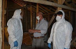 Hakkari’de yarasa denetimi